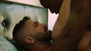 Disruptive Films: Andre Donovan rough interracial anal