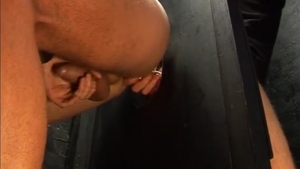 Brit fellows Glory aperture