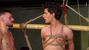 Pegged Tyler's Stifled Climax