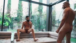 Bromo: The Gray Sweat Chronicles: Bearded Edition