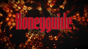 Disruptive Films: Basking in the Glow of Unbridled Passion