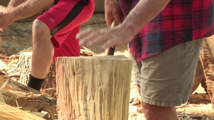 Family Dick: From Forest to Bedroom, Action Intensifies