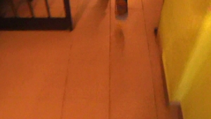 Debt Dandy: Breaking free from illness into passion