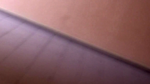 Debt Dandy: Debtors Delight: A Forbidden Deal