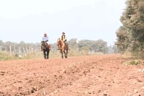 humongous schlong cowmen pokeing on the ranch